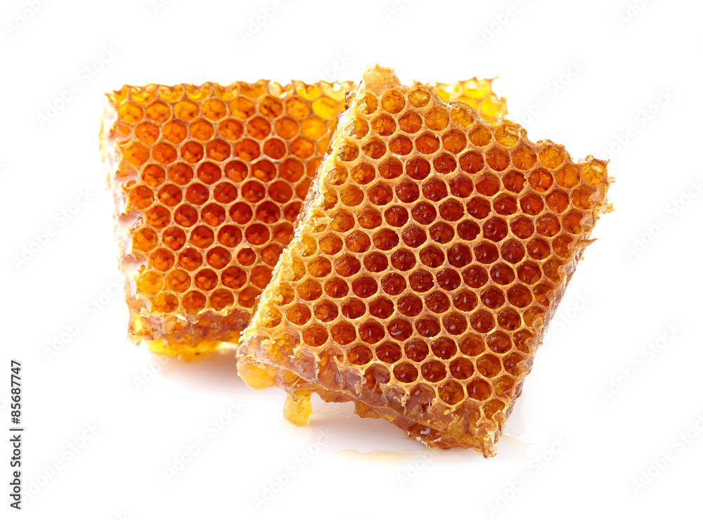 Wall mural honeycombs