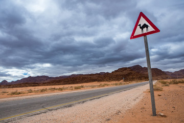 Beware of camels near de road 