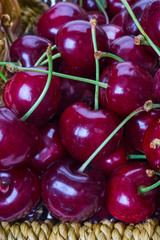 Rote Kirschen, Süßkirschen