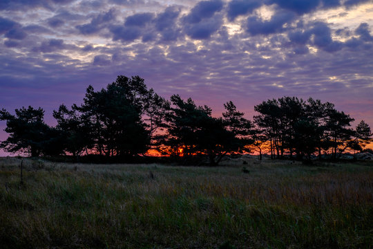 D&uuml;nengebiet am Darsser Ort, Nationalpark Vorpommersche Boddenlan