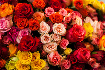 beau bouquet de roses multicolores
