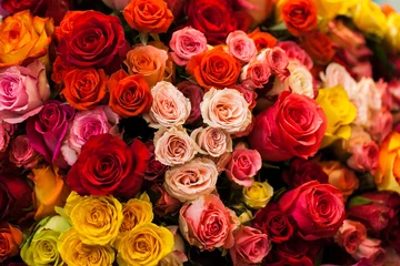 Poster de jardin Roses beau bouquet de roses multicolores