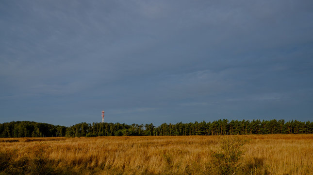 D&uuml;nengebiet am Darsser Ort, Nationalpark Vorpommersche Boddenlan