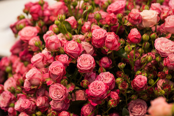 Beautiful bouquet of pink roses