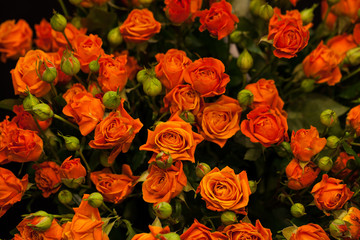 Beautiful bouquet of orange roses