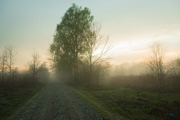 Beautiful misty evening