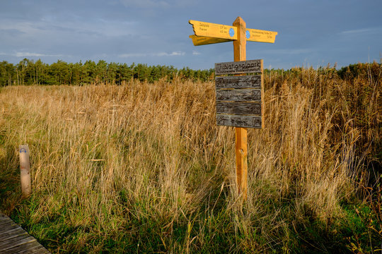 D&uuml;nengebiet am Darsser Ort, Nationalpark Vorpommersche Boddenlan