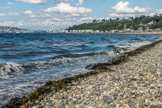 Alki Beach In West Seattle 2