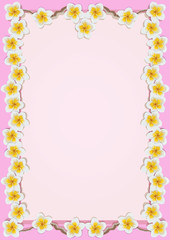 Frame with tropical flowers plumeria