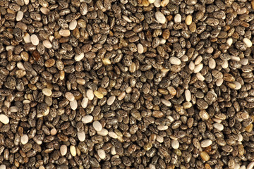 chia