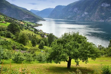 Peel and stick wall murals Scandinavia Aurland Fjord in Norway
