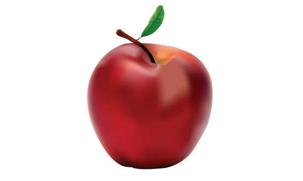 apple high quality vector design