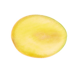 Mango fruit in cross section