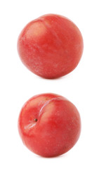 Single red victoria plum isolated