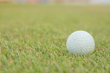 Golf Ball and Golf Club on grass