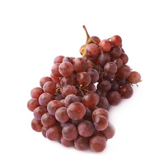 Branch of the dark grape isolated