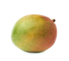 Single mango fruit isolated