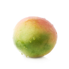 Fototapeta premium Single mango fruit isolated