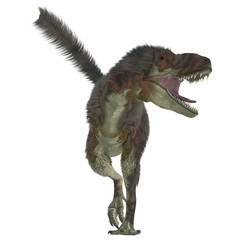 Daspletosaurus Predator