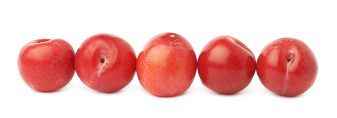 Lined up red plums isolated