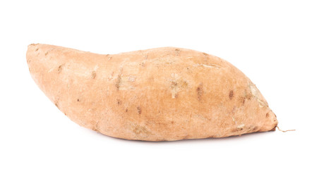 Sweet potato plant isolated