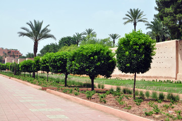 Fototapeta premium marrakech defensive walls