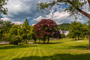 Czech republic - park in city Marianske lazne