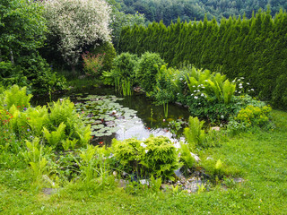 Idyllischer Gartenteich mit Fischen
