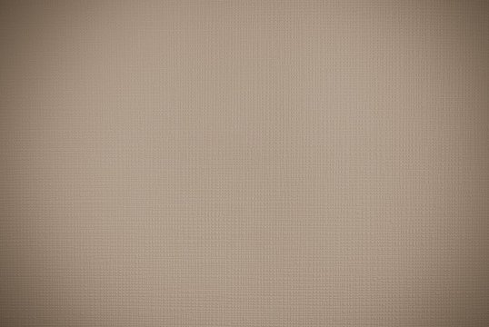 light brown leather background