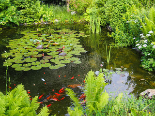 Idyllischer Gartenteich mit Fischen