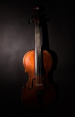 Fototapeta na wymiar Violin, Musical Instrument, Music.