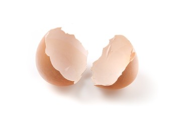 Eggs, Animal Egg, Broken.