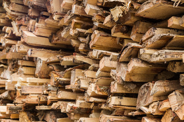 Stacked tree wood logs