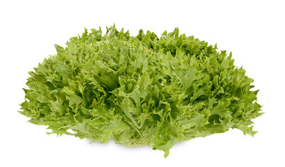 Salat Salatkopf  Kopfsalat