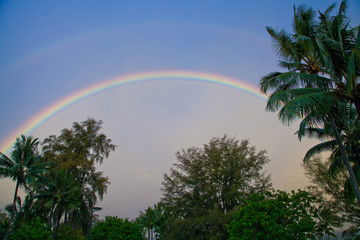 Double Rainbow High in the Sky
