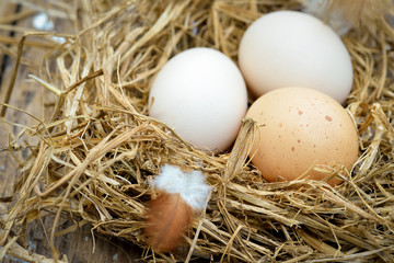Eggs nest over wooden table background