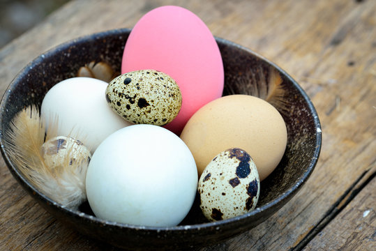 Different types of eggs in bowl on wood background