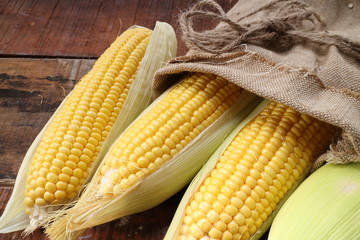 fresh corn on wooden table