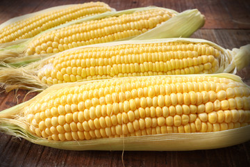 fresh corn on wooden table