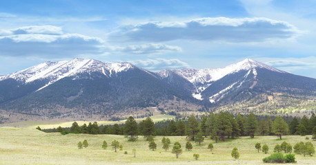 Fototapeta na wymiar Panorama of White Snowcapped Mountains 