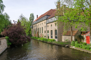 Fototapeta na wymiar Lake in Begijnhof, Bruges city