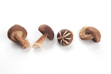 Shiitake Mushroom, Chinese mushroom