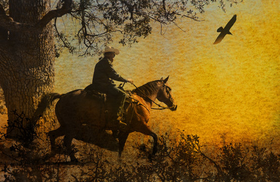 A wild west cowboy galloping around an oak tree in the brush with crows flying above.  A mixed media image of photography and watercolor.