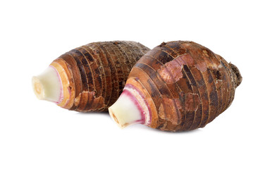 unpeeled whole taro on white background