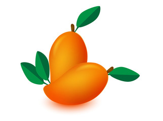 mango isolated, mango vector, mango