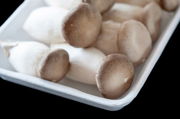 mushroom in foam