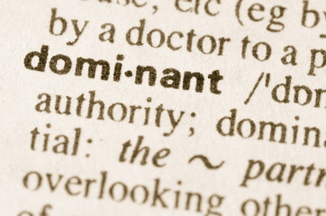 Dictionary definition of word dominant