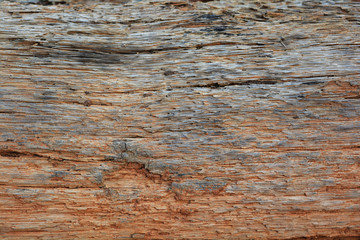 Naklejka premium wood texture