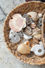 Shells
