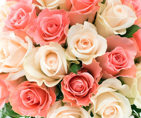 The texture of a plurality of of roses